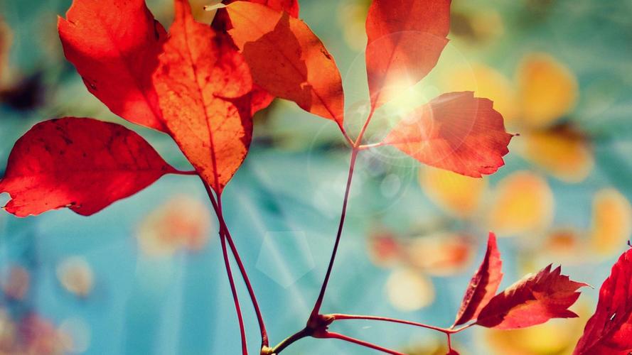 小修作业井控风险预报及管理对策分析